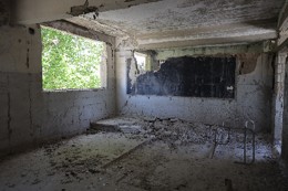 Before image